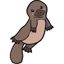 Platypus Spirit &mdash; Catalog